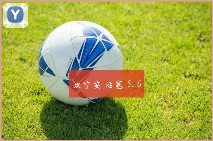 坎宁安 活塞 5.6