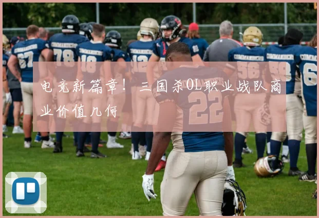 电竞新篇章!三国杀OL职业战队商业价值几何