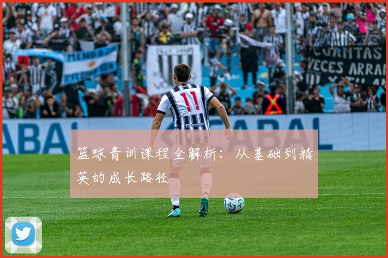 篮球青训课程全解析:从基础到精英的成长路径
