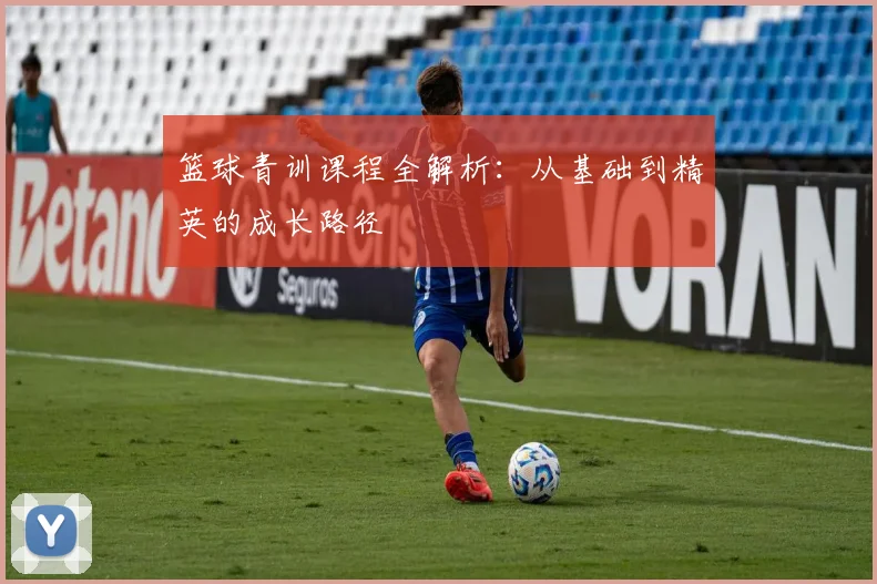篮球青训课程全解析：从基础到精英的成长路径