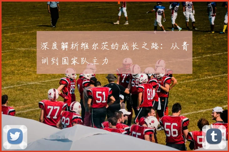 深度解析维尔茨的成长之路:从青训到国家队主力