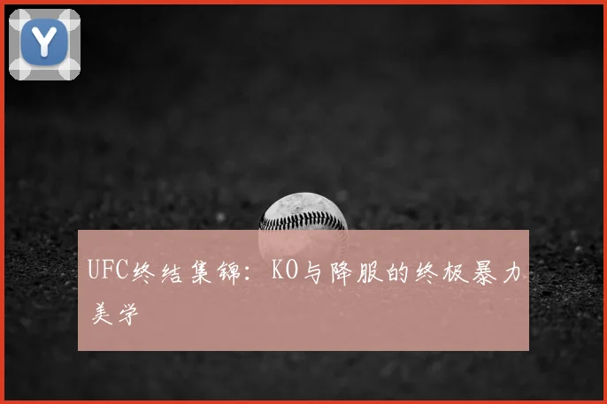 UFC终结集锦：KO与降服的终极暴力美学
